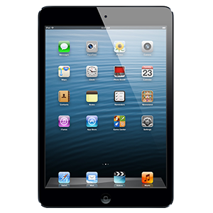 iPad mini